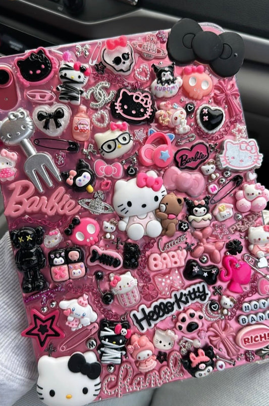 FREESTYLE iPad case ( please read description )